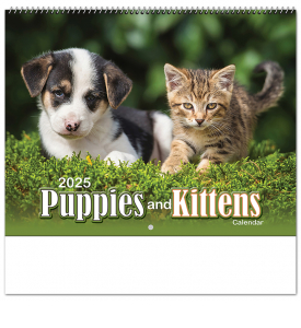 Puppies &amp; Kittens II Spiral Calendar