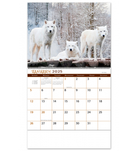 Wildlife Spiral Calendar