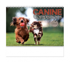 Canine Companions Spiral Wall Calendar