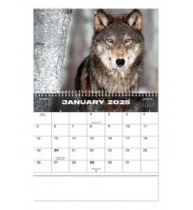 North American Wildlife Spiral Wall Calendar