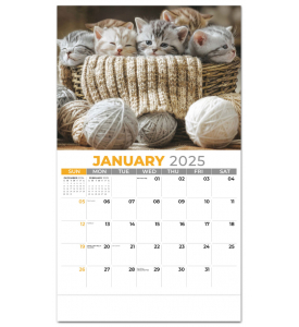 Kittens Calendar