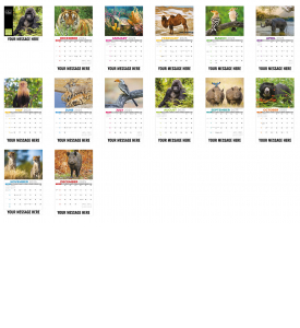 International Wildlife Calendar