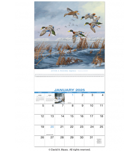 David Maass Executive Spiral Calendar