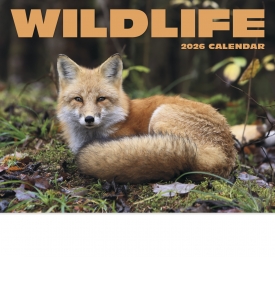 Wildlife II Calendar