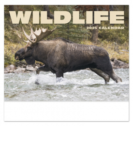 Wildlife II Calendar