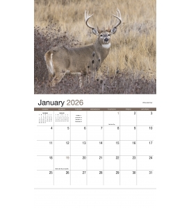 Wildlife II Calendar