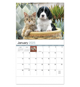 Four Paws Calendar