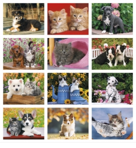 Four Paws Spiral Calendar