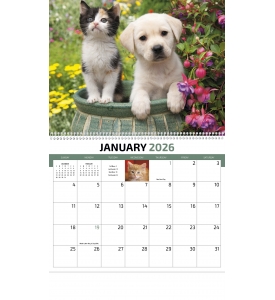 Four Paws Spiral Calendar