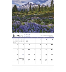 Contemplations Calendar