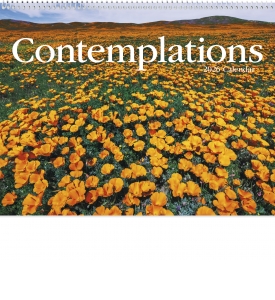 Contemplations Spiral Calendar