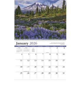 Contemplations Spiral Calendar