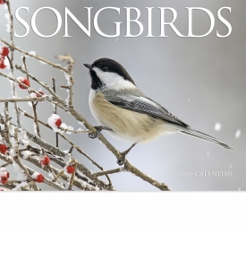Nature&#039;s Songbirds Calendar