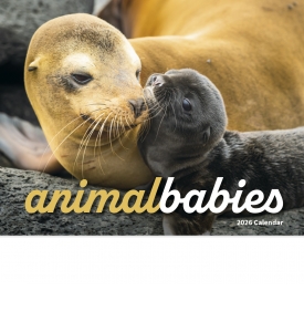 Animal Babies Calendar