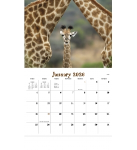 Animal Babies Calendar
