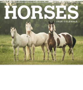 Horses Calendar