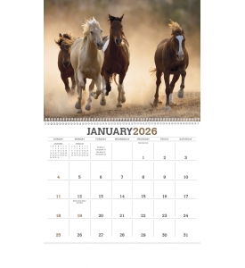 Horses Calendar