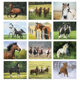 Horses Calendar
