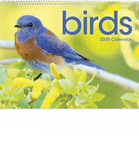Birds Calendar