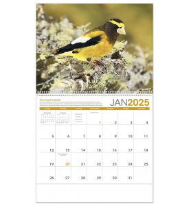 Birds Calendar