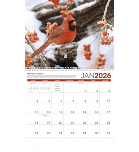 Birds Calendar