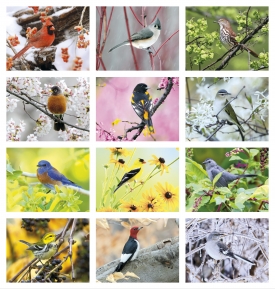 Birds Calendar
