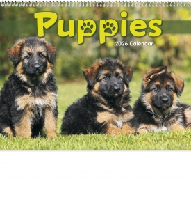 Puppies Calendar