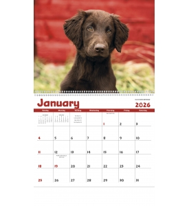 Puppies Calendar