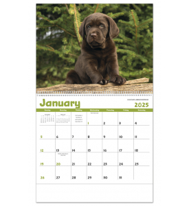 Puppies Calendar