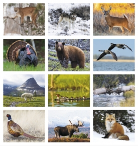 North American Wildlife Calendar