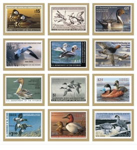 Duck Stamps Calendar