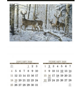 Wildlife Art (6 Sheet) Calendar