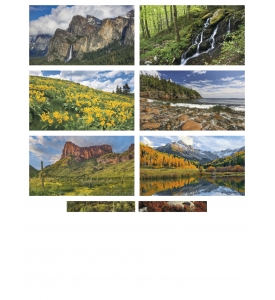 American Splendor III Calendar
