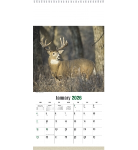 Sportsman Executive Calendar