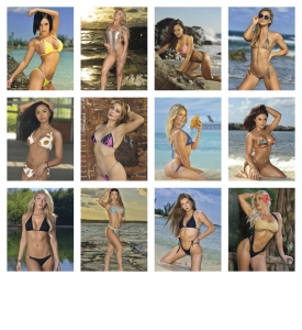 Swimsuit Calendar