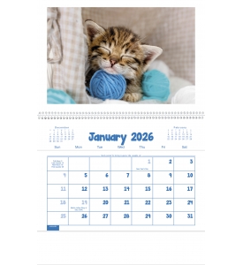 Puppies &amp; Kittens Pocket Calendar
