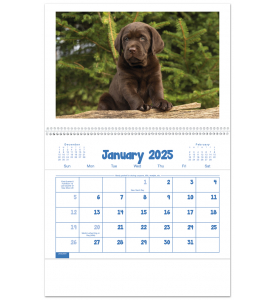 Puppies &amp; Kittens Pocket Calendar