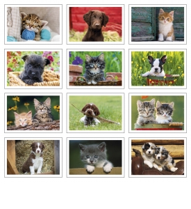 Puppies &amp; Kittens Pocket Calendar