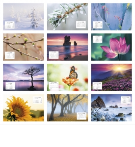 Simplicity Large Desk Calendar