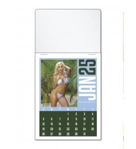 Triumph Swimsuit Stick Up Calendar, Full Color Header