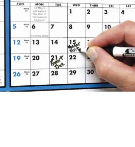 Span-A-Year (Laminated) Calendar