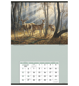Jumbo Hanger Calendar with 12-Month Grid