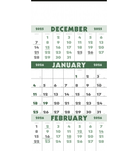 3-Month Planner (12-sheet) Calendar