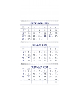 3-Month Commercial Planner Calendar, Blue &amp; Grey