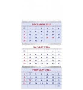 3-Month Commercial Planner Calendar, Red &amp; Blue