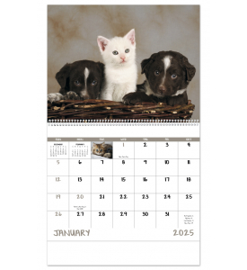 Puppies &amp; Kittens Spiral Calendar