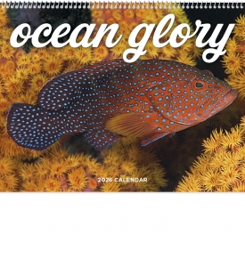 Ocean Glory Spiral Calendar