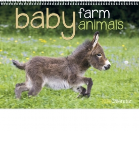 Baby Farm Animals Spiral Calendar