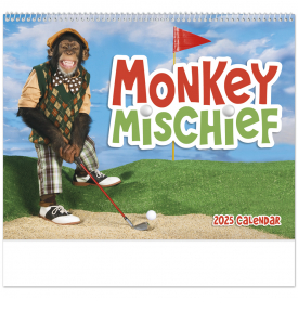 Monkey Mischief Spiral Calendar