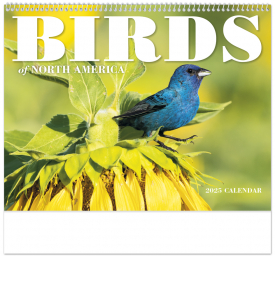 Birds of North America Calendar